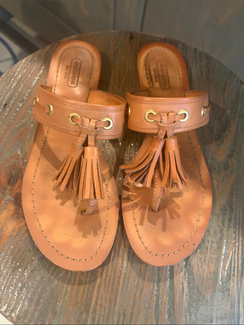 Coach Women’s Brown Leather Tassel Thong Sandals